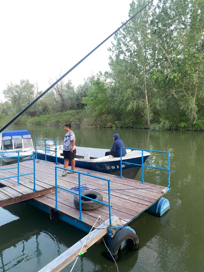 Pensiunea Uzlina Τουλσέα Εξωτερικό φωτογραφία
